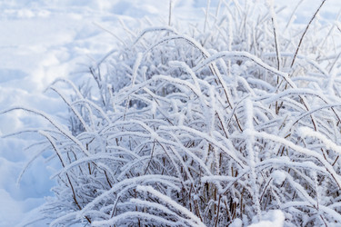 Similar image 22470786