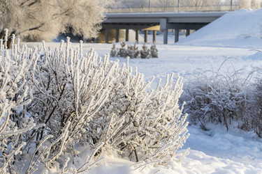 Similar image 22470800