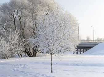 Similar image 22470819