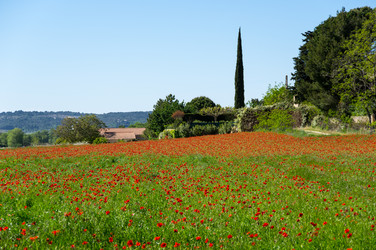 Similar image 22460804