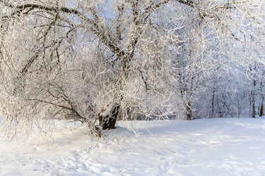 Similar image 22470835