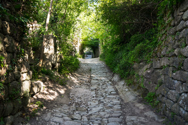 Similar image 22460771