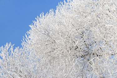 Similar image 22470666