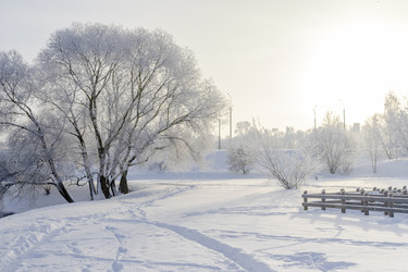 Similar image 22470696