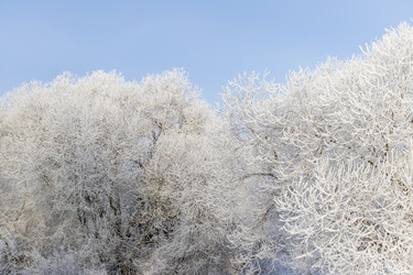 Similar image 22470789