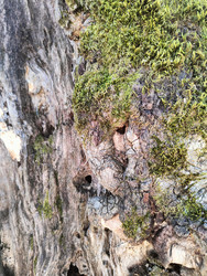 Similar image 22459202