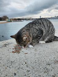 Similar image 22459203