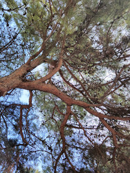 Similar image 22459217