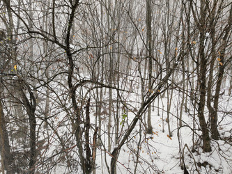 Similar image 22459218