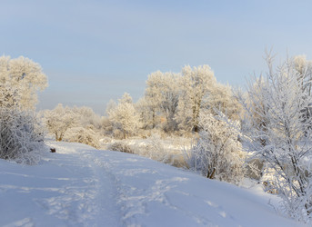 Similar image 22470791