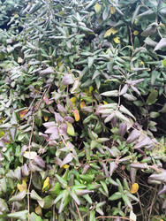 Similar image 22459219