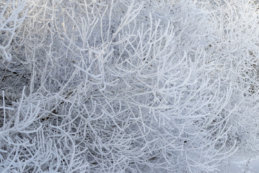 Similar image 22470801