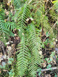 Similar image 22460615