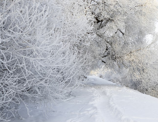 Similar image 22470804