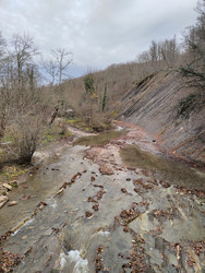 Similar image 22460635