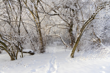 Similar image 22470820