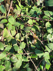 Similar image 22460636