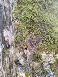 Similar image 22460638