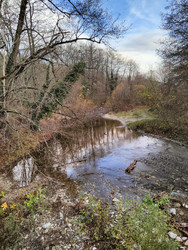 Similar image 22460640