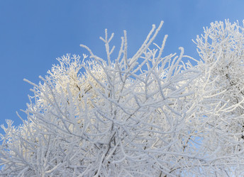 Similar image 22470836