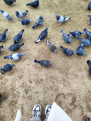 Similar image 22460642