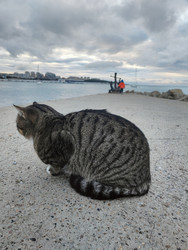 Similar image 22459206