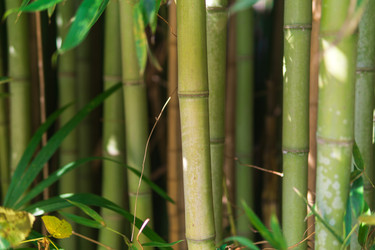 Similar image 22464600