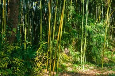 Similar image 22464604