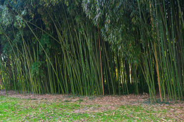 Similar image 22464605