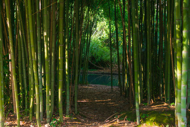 Similar image 22464609