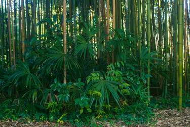 Similar image 22464611