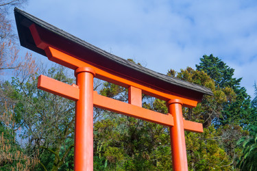 Similar image 22464613