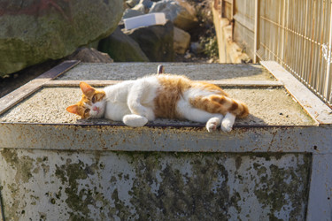 Similar image 22464614