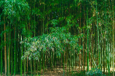 Similar image 22464615