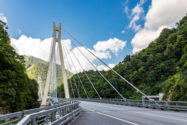 Similar image 22469455