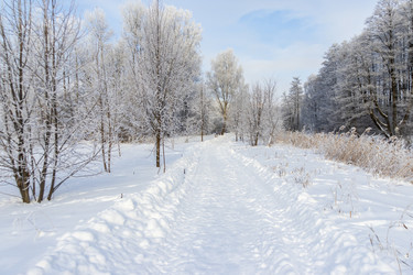 Similar image 22470742