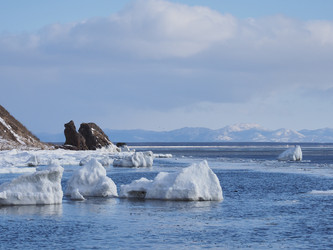 Similar image 22475489