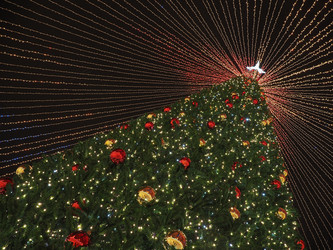 Similar image 22469738