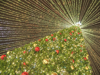 Similar image 22469740