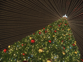 Similar image 22469741