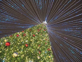 Similar image 22469743