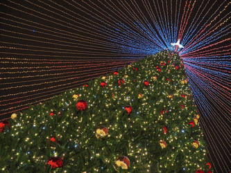 Similar image 22469744