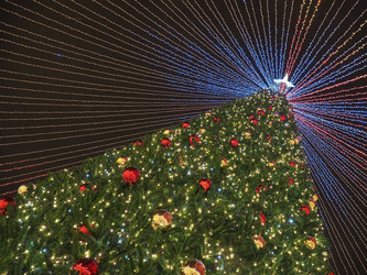 Similar image 22469745