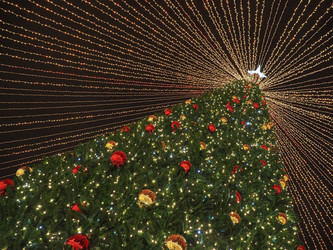 Similar image 22469753