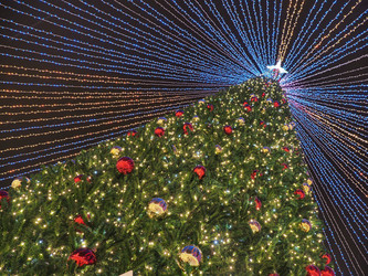 Similar image 22469754