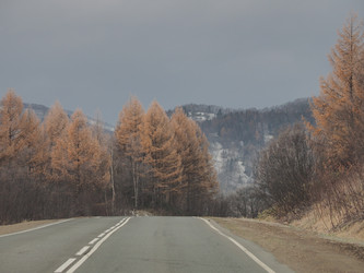 Similar image 22469762