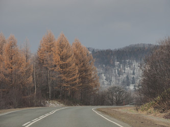 Similar image 22469770