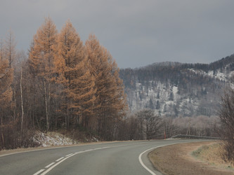 Similar image 22469771