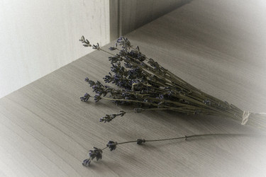 Similar image 22459140