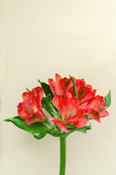 Similar image 22459221